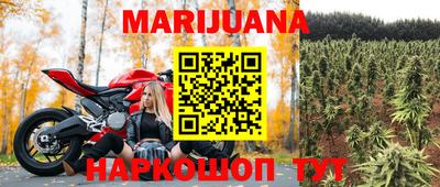 spice Новозыбков
