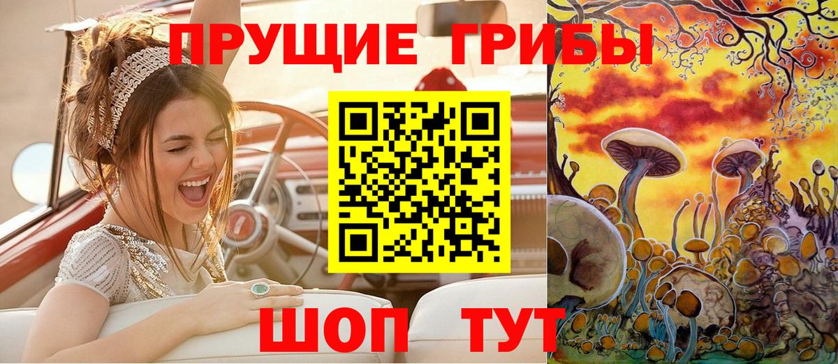 Галлюциногенные грибы Psilocybine cubensis Советский