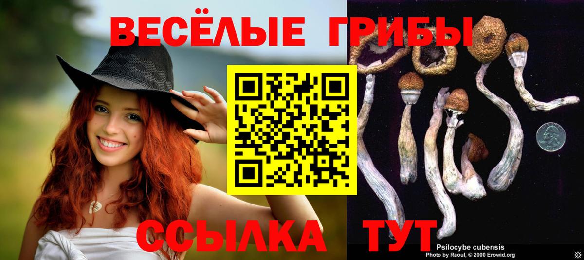 Советский  Галлюциногенные грибы GOLDEN TEACHER  Вход с VPN 